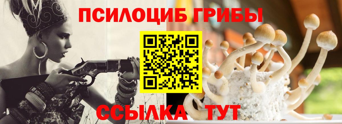 где продают   Вход с VPN  Нижневартовск  Галлюциногенные грибы мухоморы  Псилоцибиновые грибы мицелий 